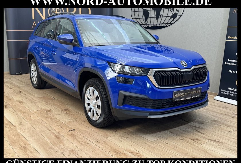 Skoda Kodiaq Kodiaq Active 2.0 TDI DSG LED/AHK/SHZ