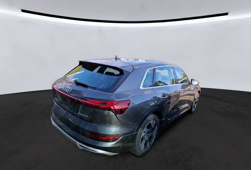 Audi e-tron e-tron 55 QU. S-Line Kamera/Navi/LED/SHZ/20