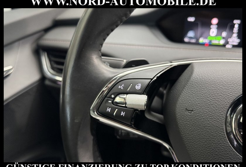 Skoda Enyaq Enyaq iV 80 Suite Leder/Kamera/Side&amp;Lane/20