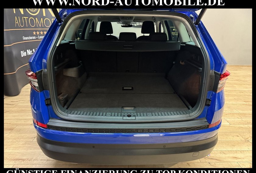 Skoda Kodiaq Kodiaq Ambition Tour 2.0 TDI DSG Matrix/Virt.Coc