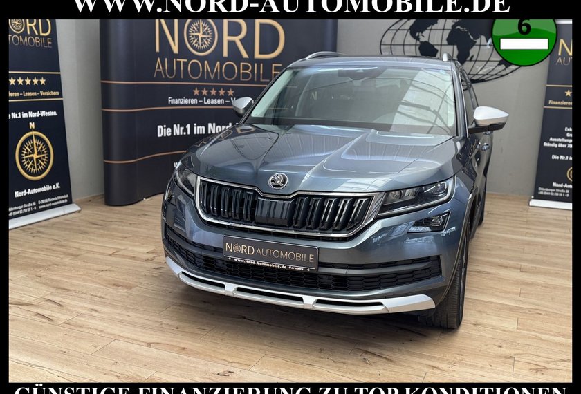 Skoda Kodiaq Kodiaq 2.0 TDI Scout 4x4 DSG StHz/AHK/Kamera/19