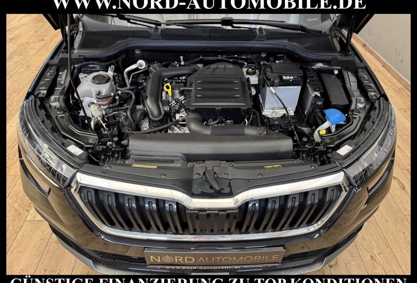 Skoda Kamiq Kamiq Ambition 1.0 TGI G-TEC Navi/LED/Kamera/17