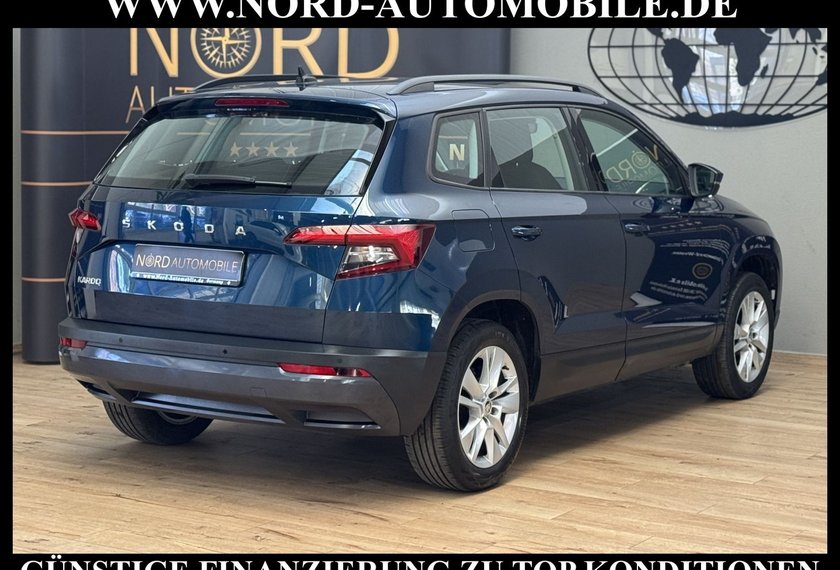 Skoda Karoq Karoq Ambition 2.0 TDI DSG Navi/PDC/SHZ/17