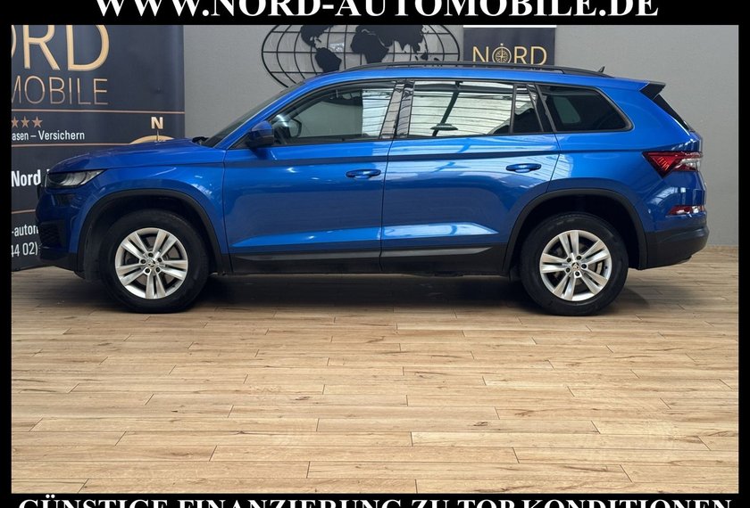 Skoda Kodiaq Kodiaq Ambition 2.0 TDI DSG 7-Sitzer/Pano/Virt.C