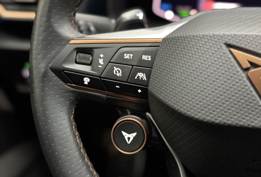 Cupra Formentor Formentor VZ 1.4 TSI e-HYBRID DSG Leder/AHK/19