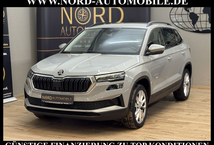 Skoda Karoq Karoq Style 2.0 TDI DSG Virt.Cockpit/AHK/Navi/18