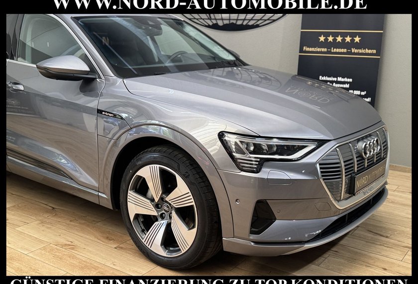 Audi e-tron e-tron 55 Sportback Advanced Leder/Pano/AHK/21