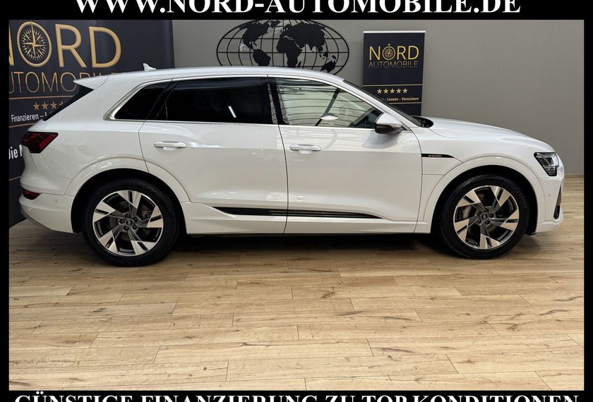 Audi e-tron e-tron 50 QU.S-Line SIDE&amp;LANE/Kamera/LED/20/