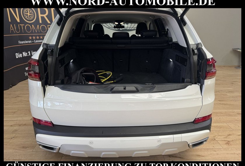 BMW X5 X5 xDrive 45 e xLine *20ZOLL*360KAM*UPE:88