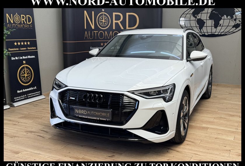 Audi e-tron e-tron 50 QU.S-Line Teilleder/Kamera/LED/Navi/20
