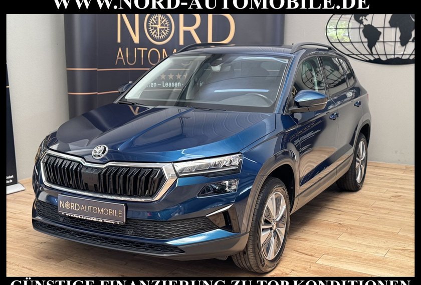 Skoda Karoq Karoq Ambition 2.0 TDI DSG Virt.Cockpit/AHK/Navi