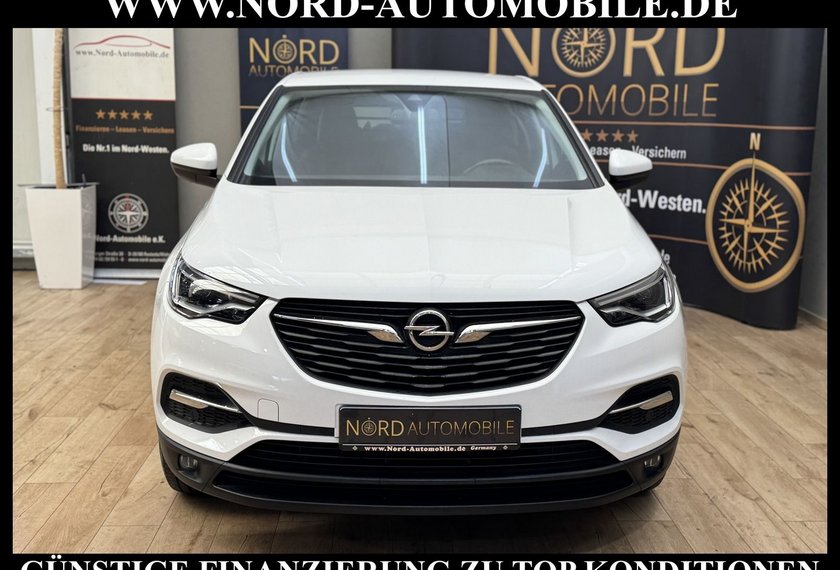 Opel Grandland (X) Grandland X 1.5 D Business *LED*AHK*KAMERA*NAVI*