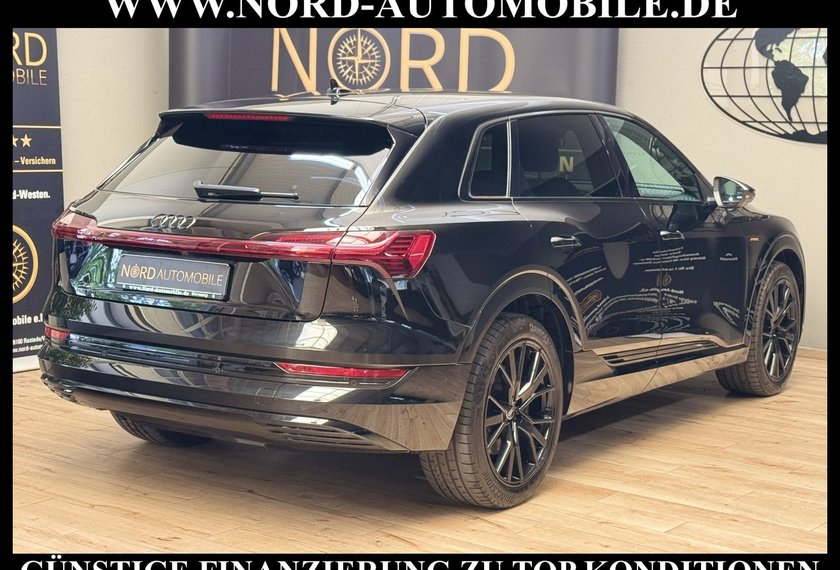 Audi e-tron e-tron 50 QU.Advanced S-Line Matrix/Kamera/21/