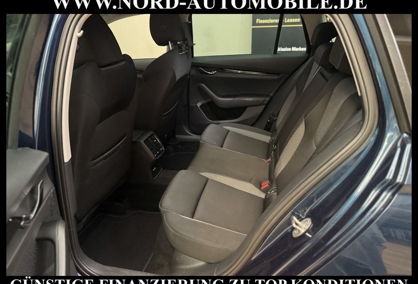 Skoda Octavia Octavia Combi Ambition 2.0 TDI DSG Navi/ACC/17