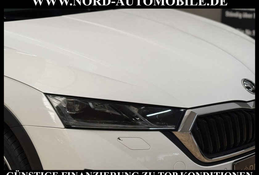 Skoda Octavia Octavia Scout Combi 2.0 TDI DSG AHK/HeadUp/ACC/