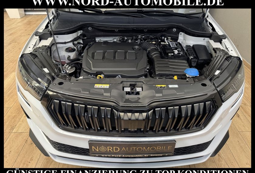 Skoda Karoq Karoq Sportline 2.0 TDI DSG Area View/19/Matrix/