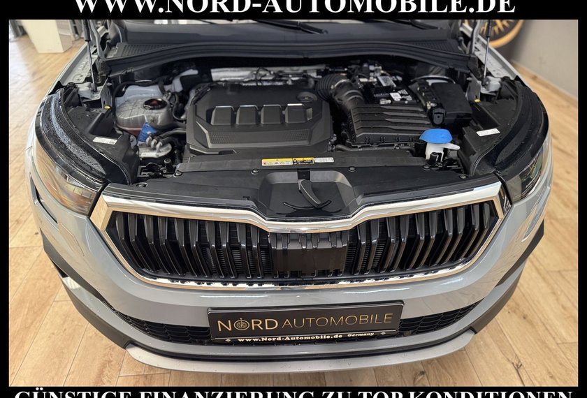 Skoda Kodiaq Kodiaq Ambition 2.0 TDI DSG Virt.Cockpit/Navi/
