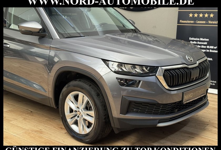 Skoda Kodiaq Kodiaq Ambition 2.0 TDI DSG 7-Sitzer/Kamera/