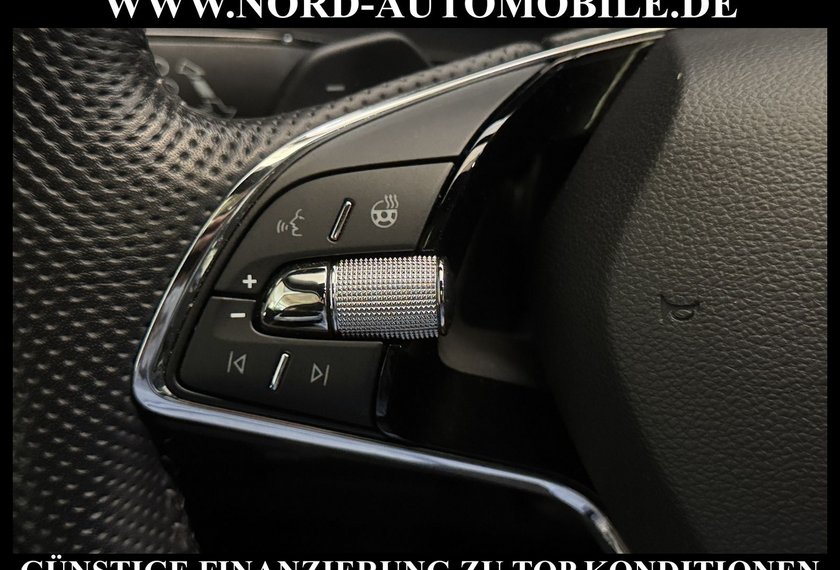 Skoda Karoq Karoq Sportline 2.0 TSI DSG Pano/AHK/Kamera/19