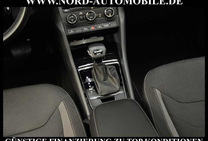 Skoda Kodiaq Kodiaq 2.0 TDI Ambition 4x4 DSG StHz/Pano/LED/