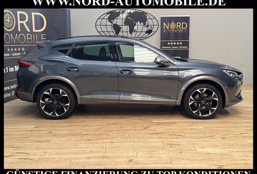 Cupra Formentor Formentor 2.0 TDI DSG AHK/Beats/19/StHz/Navi/