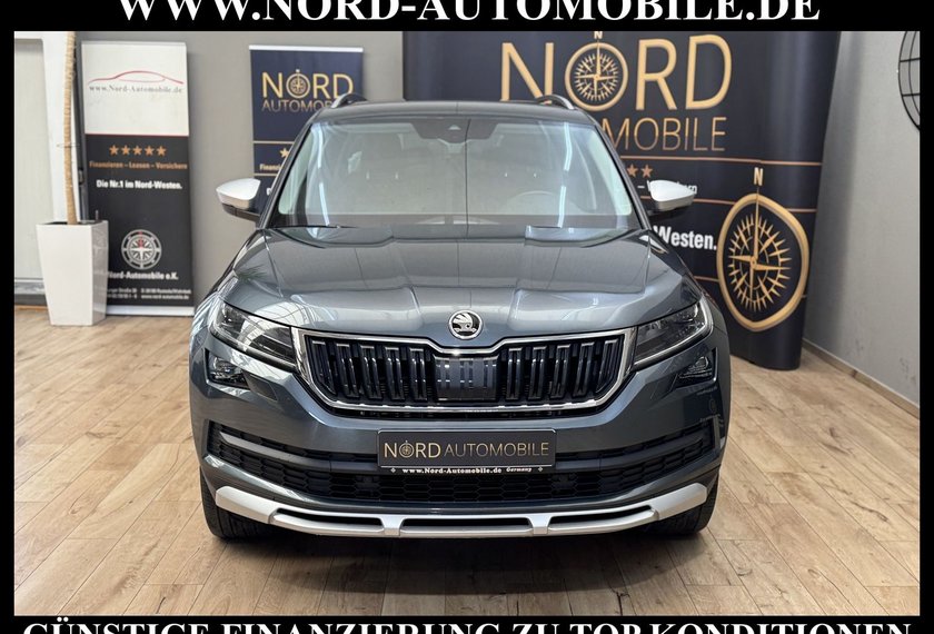 Skoda Kodiaq Kodiaq 2.0 TDI Scout 4x4 DSG StHz/AHK/Kamera/19