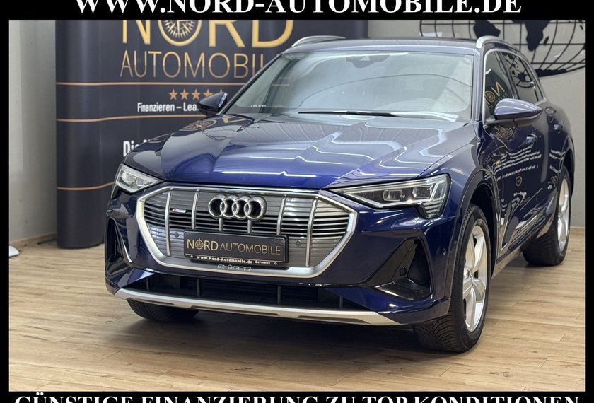 Audi e-tron e-tron 55 QU.S-Line Head-Up/Matrix/Side&amp;Lane/20