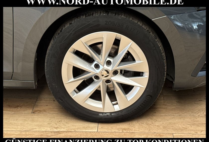 Skoda Octavia Octavia Combi Style 2.0 TDI DSG Pano/AHK/Head-Up