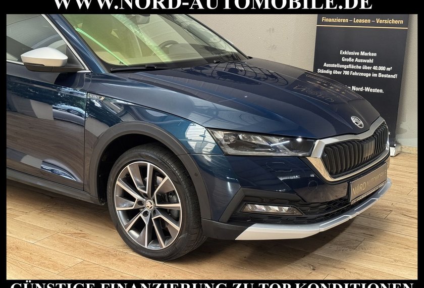 Skoda Octavia Octavia Scout Combi 2.0 TDI DSG Pano/AHK/StHz/18
