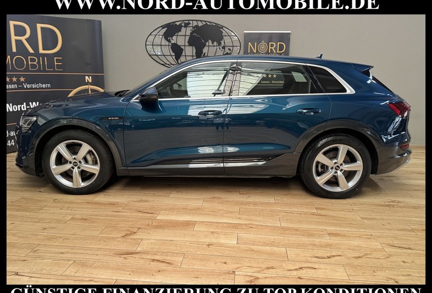 Audi e-tron e-tron 50 QU.S-Line Teilleder/Kamera/Head-Up/20