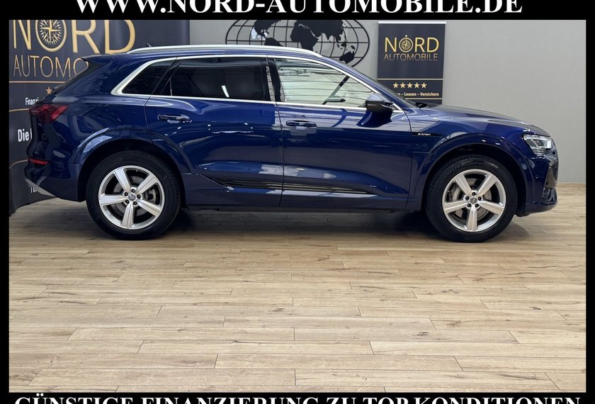 Audi e-tron e-tron 55 QU.S-Line Head-Up/Matrix/Side&amp;Lane/20