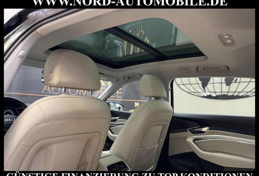 Audi e-tron e-tron 50 QU.Leder/Kamera/AHK/Panorama/21