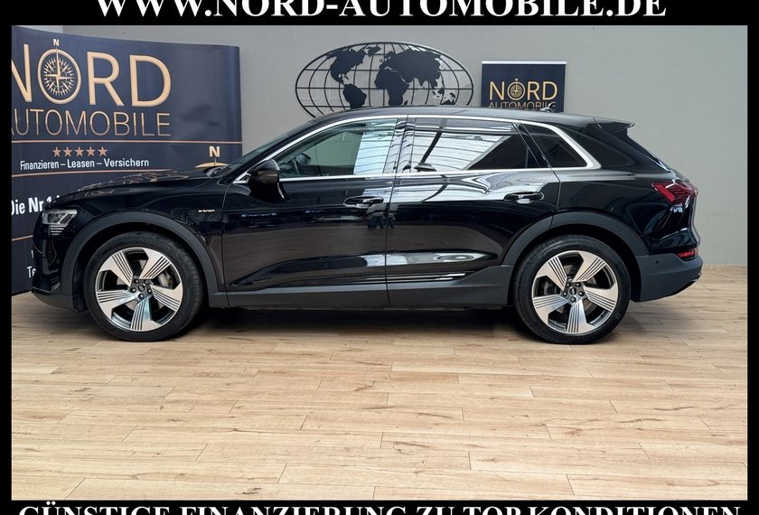 Audi e-tron e-tron 55 QU.Leder/AHK/Side&amp;Lane/LED/21
