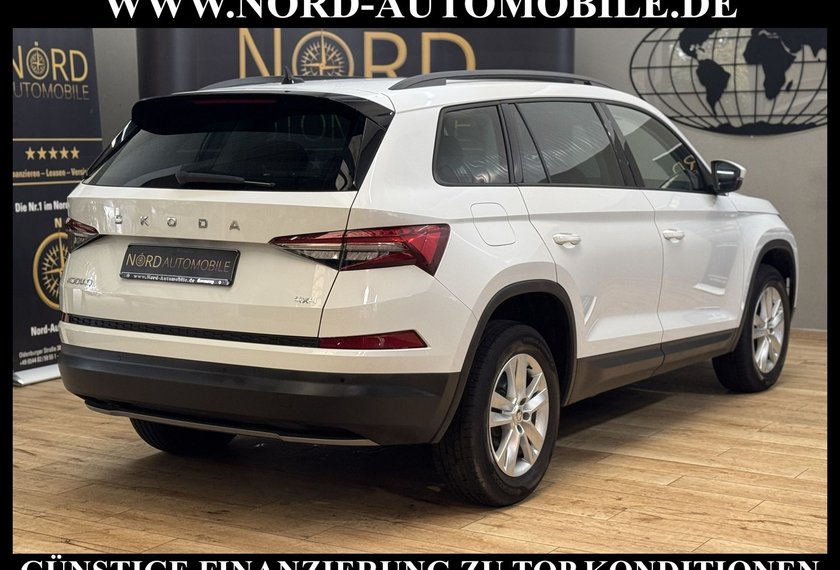 Skoda Kodiaq Kodiaq 2.0 TDI Ambition 4x4 DSG StHz/Pano/LED/