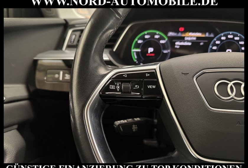 Audi e-tron e-tron 55 S-Line QU. Leder/Matrix/Kamera/20