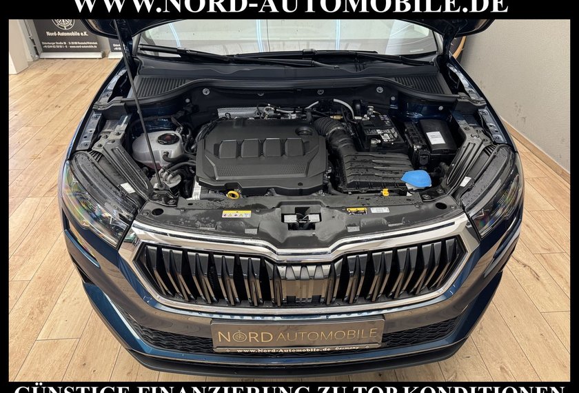 Skoda Karoq Karoq Business 2.0 TDI DSG Virt.Cockpit/Kamera/
