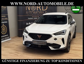 Cupra Formentor Formentor VZ 1.4 TSI e-HYBRID DSG AHK/Kamera/19
