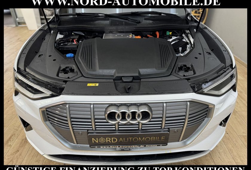 Audi e-tron e-tron Sportback 50 QU.Advanced Kamera/B&amp;O/21/