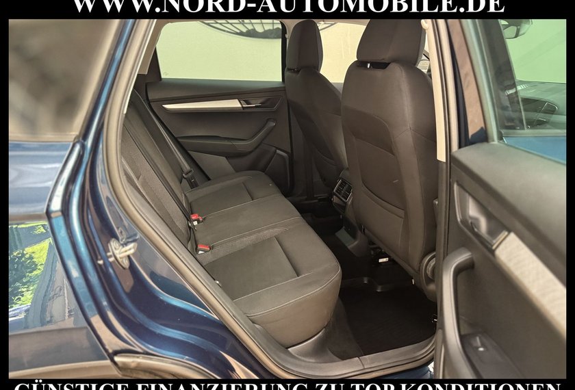 Skoda Karoq Karoq Ambition 2.0 TDI DSG Virt.Cockpit/AHK/Navi