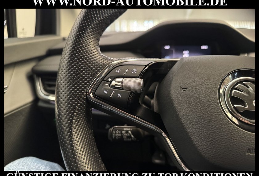 Skoda Enyaq Enyaq iV 80 Suite Leder/Wärmepumpe/Kamera/20