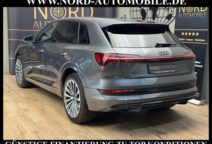 Audi e-tron e-tron 55 QU.S-Line Leder/Kamera/B&amp;O/21/Leder