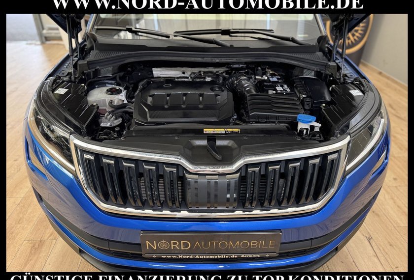 Skoda Kodiaq Kodiaq 2.0 TDI DSG Scout 4x4 Area View/AHK/19/