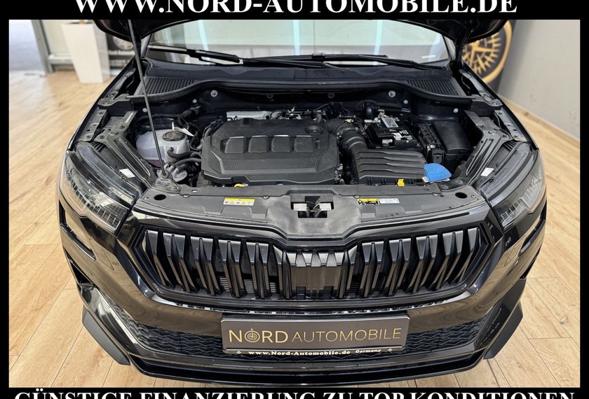 Skoda Karoq Karoq 2.0 TDI Sportline DSG 4x4 Virt.Cockpit/Nav