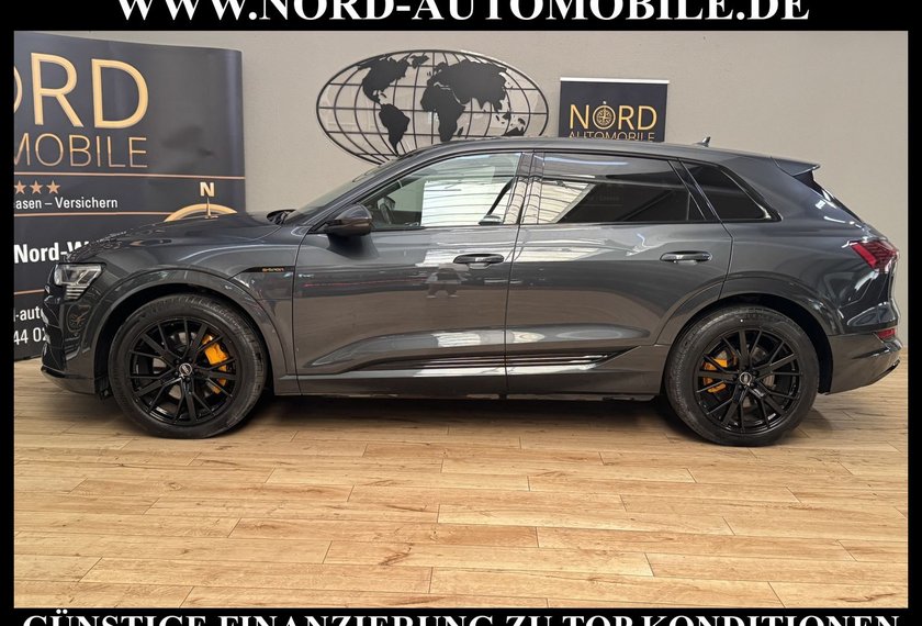 Audi e-tron e-tron 50 QU.S-Line Teilleder/Kamera/Navi/21