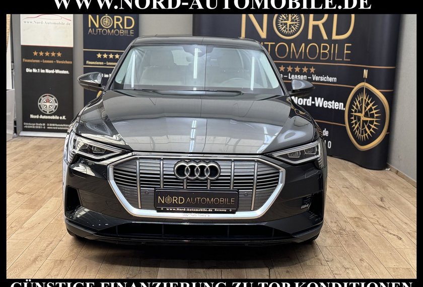 Audi e-tron e-tron 50 QU.Leder/Kamera/AHK/Panorama/21
