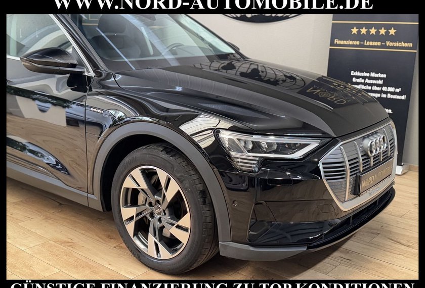 Audi e-tron e-tron 50 QU. Teilleder/Kamera/Navi/LED/20