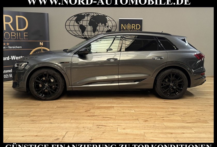 Audi e-tron e-tron 55 QU.S-Line AHK/21/Matrix/Kameras/Navi/