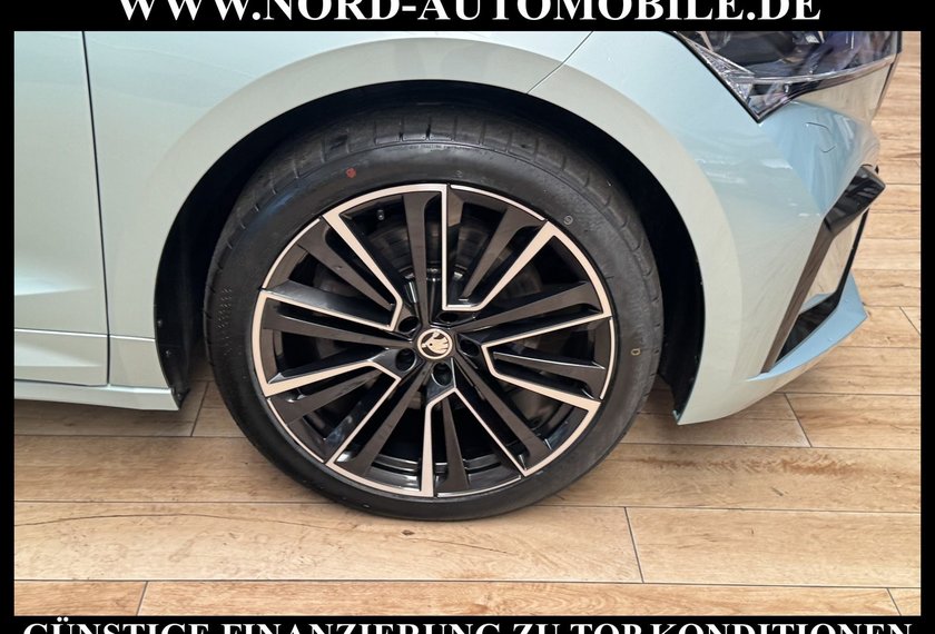 Skoda Enyaq Enyaq iV 80 x Founders Edition AHK/21/Leder/