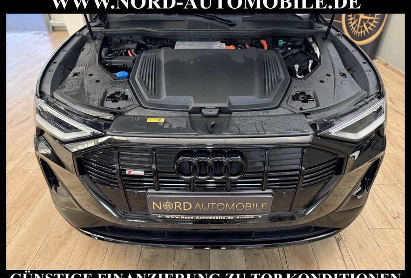 Audi e-tron e-tron S-Line QU. Optik schwarz Teilleder/Matrix