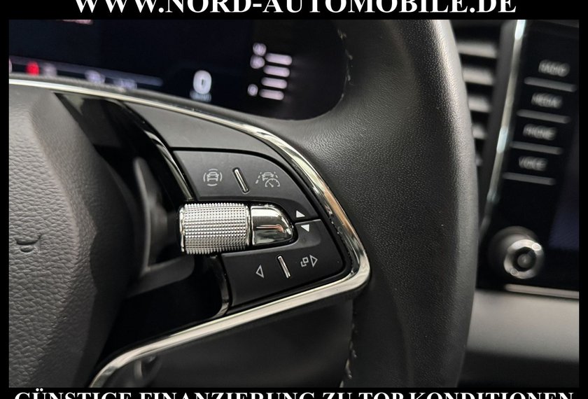 Skoda Karoq Karoq Ambition 2.0 TDI DSG Virt.Cockpit/Kamera/